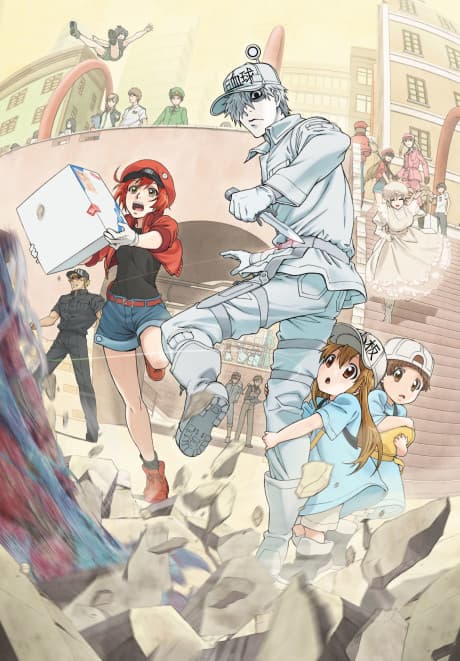 Постер аниме: Cells at Work!