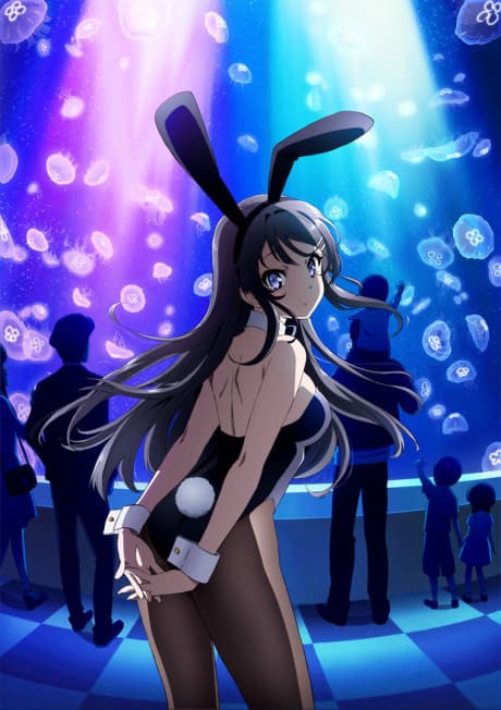 Постер аниме: Rascal Does Not Dream of Bunny Girl Senpai