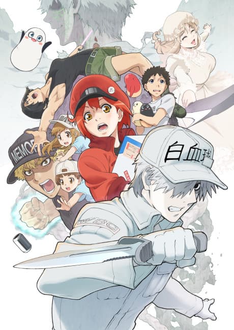 Постер аниме: Cells at Work!!