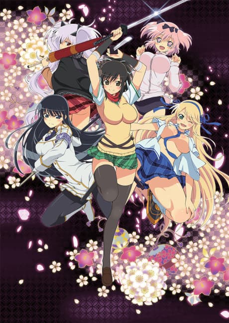 Постер аниме: Senran Kagura: Ninja Flash!