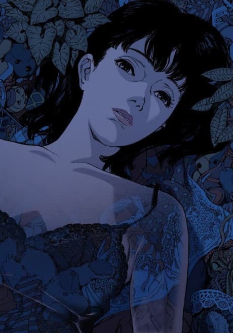Постер аниме: Perfect Blue