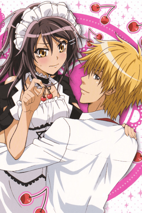 Постер аниме: Maid-Sama! It's an extra!